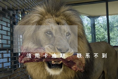 信用卡逾期 联系不到 信用卡逾期 联系不到